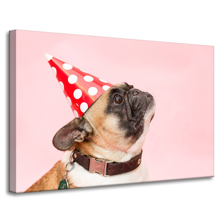 Canvas Print Youth Birthday Pug 90x60