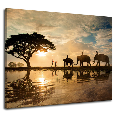 Canvas Print People on Elephants Sunset Africa Savannah 100x80 cm