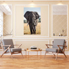 Canvas Print Large Gray Elephant Savannah Africa 80x120 cm
