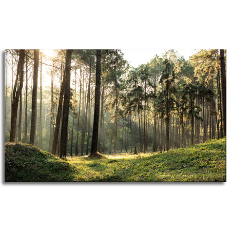 Canvas Print Forest Trees Sun Nature 100x60 cm