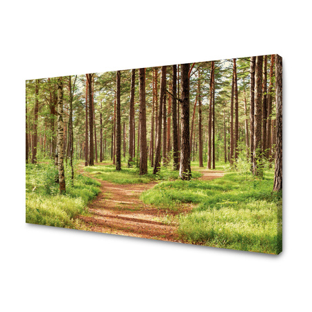Canvas Print Path in the Forest Trees Nature 120x80 cm