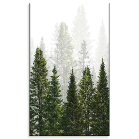 Canvas Print Rain Forest Nature Trees 60x100 cm
