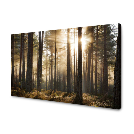 Canvas Print Sun in the Forest Cold Colors Grass 120x80 cm