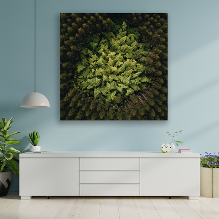 Canvas Print Nature Trees from a Bird's Eye View 90x90