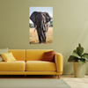 Canvas Print Large Gray Elephant Savannah Africa 80x120 cm