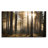 Canvas Print Sun in the Forest Cold Colors Grass 120x80 cm