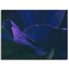 Canvas Print Botany Purple Petals 40x30 cm