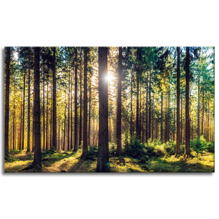 Canvas Print Forest Sun Trees Spring Morning 100x60 cm