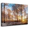 Canvas Print Trees Winter Rising Sun 40x30 cm