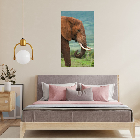 Canvas Print Muddy Elephant Nature Nature 80x120 cm
