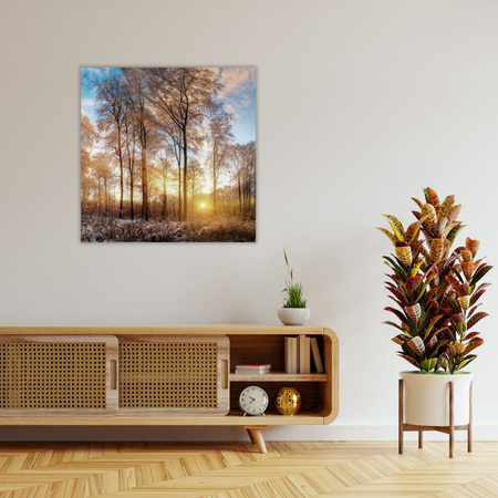 Canvas Print Trees Winter Rising Sun 50X50 cm