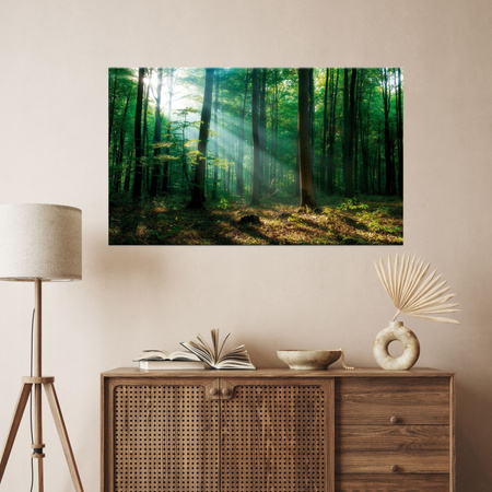 Canvas Print Forest Trees Sun Rays 120x80 cm