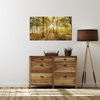 Canvas Print Sun Between Trees in the Forest 50x40 cm