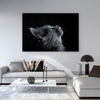 Canvas Print Animals Cat 100x80 cm