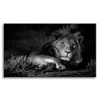 Canvas Print Dark Colors Lion Calm 100x80 cm