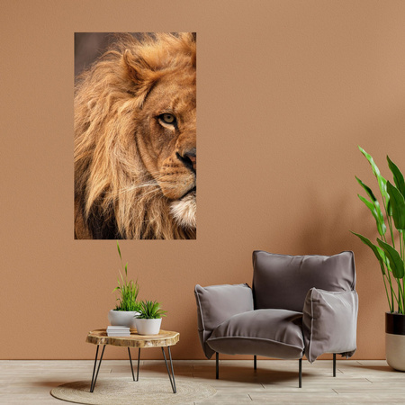 Canvas Print Face Mane and Eye of Lion Nature 80x120 cm