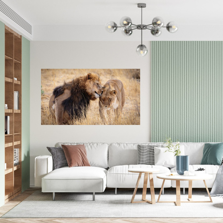 Canvas Print Lion Couple Love Savannah Nature 100x80 cm