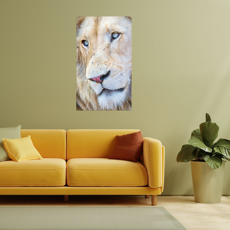Canvas Print Bright Lion Face Blue Eyes 80x120 cm