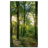 Canvas Print Sun Forest Trees Rays of Light 60x100 cm
