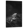 Canvas Print Lizard Reptile Black and White Nature 60x100