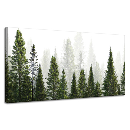 Canvas Print Rain Forest Nature Trees 120x60 cm