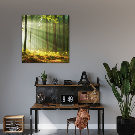 Canvas Print Light in the Forest Nature Trees 90X90 cm