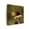Canvas Print Botany Butterfly Flower 40x40 cm