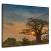 Canvas Print Sunset on the Savannah 100x80 cm