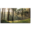 Canvas Print Forest Trees Sun Nature 80x40 cm