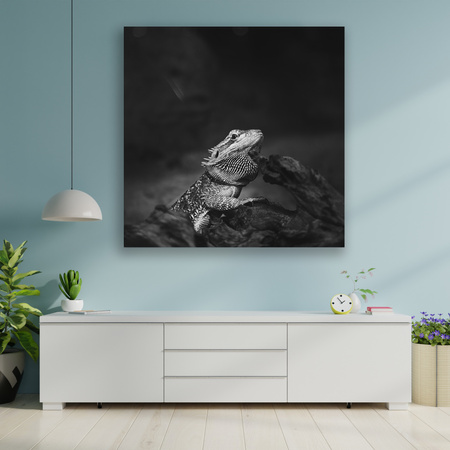 Canvas Print Lizard Reptile Black and White Nature 90x90