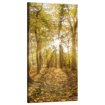 Canvas Print Sun Between Trees in the Forest 60x120 cm