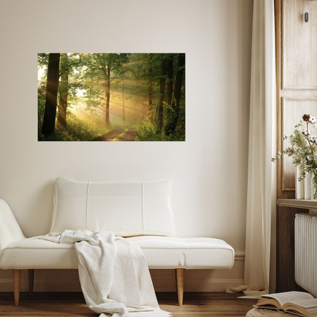 Canvas Print Sunlight Forest Path Nature 80x40 cm