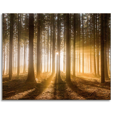 Canvas Print Sun in the Forest Light Tree 100x80 cm