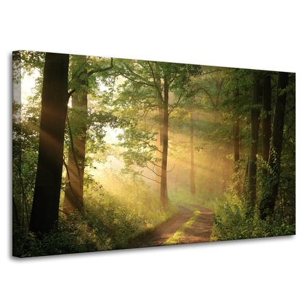 Canvas Print Sunlight Forest Path Nature 100x60 cm