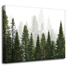 Canvas Print Rain Forest Nature Trees 50x40 cm