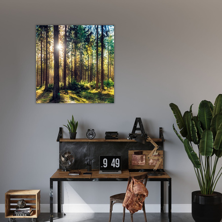 Canvas Print Forest Sun Trees Spring Morning 90X90 cm