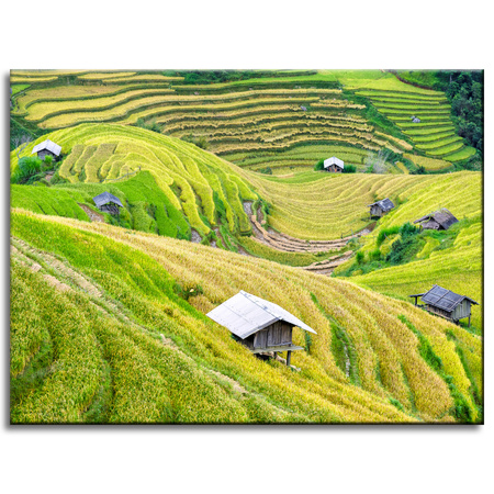 Canvas Print Nature Agricultural Terraces 40x30 cm