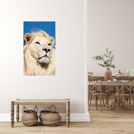 Canvas Print Beautiful Bright Lion Hair Nature 80x120 cm