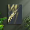 Canvas Print Botany Wheat Ear 30x40 cm