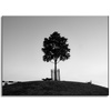 Canvas Print Nature Tree 40x30 cm
