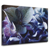 Canvas Print Botany Blue Hydrangea 40x30 cm