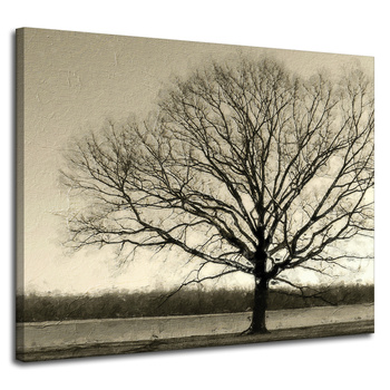 Canvas Print Gloomy Black Tree Sadness 100x80 cm