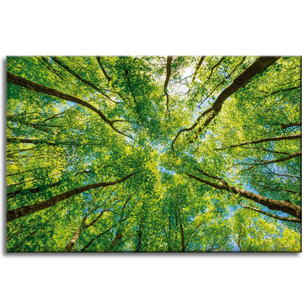 Canvas Print Trees Leaves Nature Forest Spring 60x40 cm