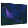 Canvas Print Botany Purple Petals 40x30 cm
