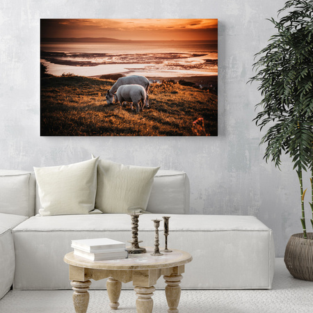Canvas Print Animals Grazing Sheep 40x30 cm