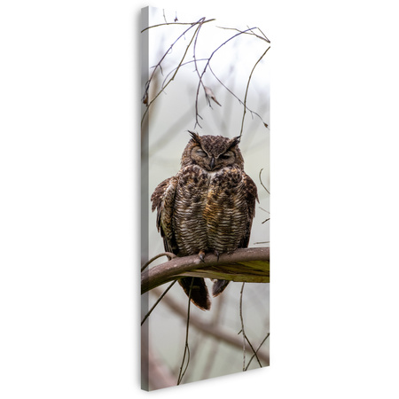 Canvas Print Animals Sleeping Owl 40x120 cm