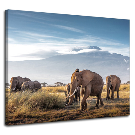 Canvas Print Walking Elephants Mountain Savannah Natural Environment 100x80 cm