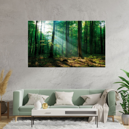Canvas Print Forest Trees Sun Rays 120x80 cm