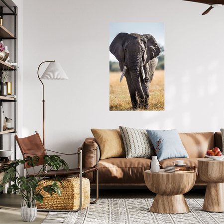Canvas Print Large Gray Elephant Savannah Africa 80x120 cm