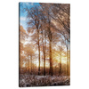 Canvas Print Trees Winter Rising Sun 60x100 cm